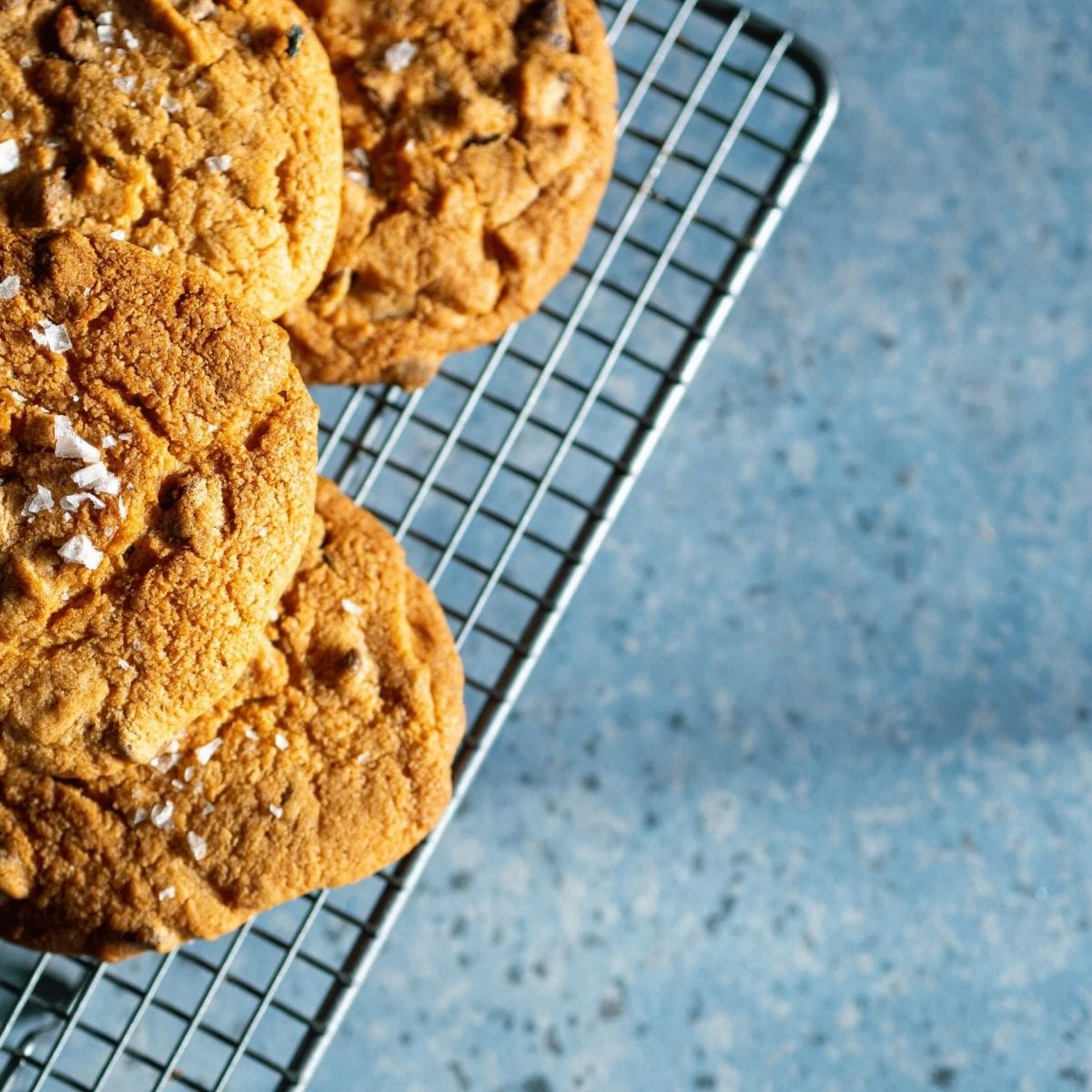 Choc Chip Rosemary Cookies